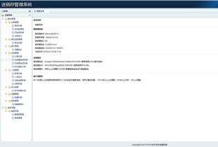 案例展示 | 瑞禧進(jìn)銷存品牌電商門戶，西安硅峰網(wǎng)絡(luò)以精準(zhǔn)數(shù)字化方案定義企業(yè)天花板