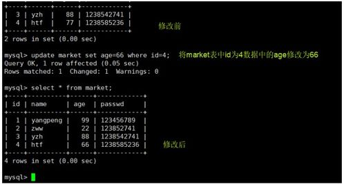 MySQL數(shù)據(jù)庫管理